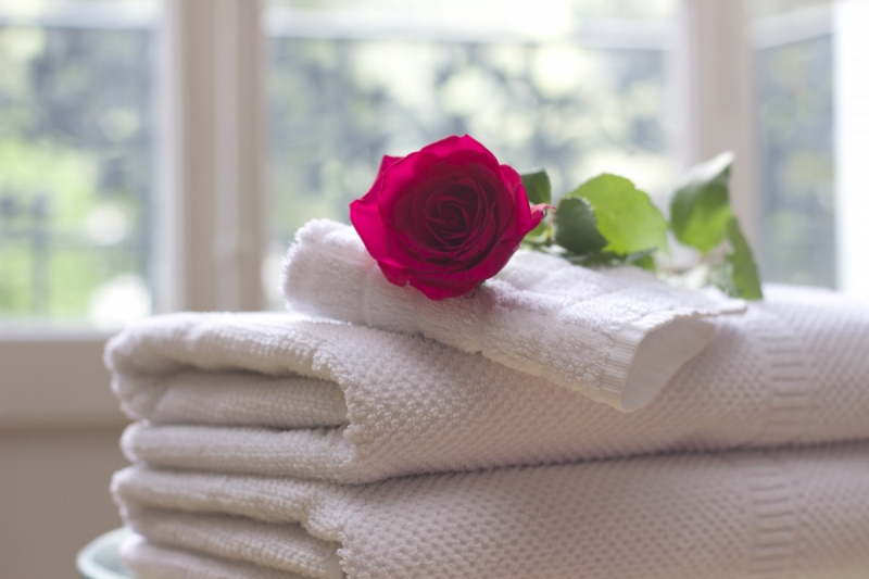 chambre-hote-CHATEAUVIEUX-min_towel_rose_clean_care_salon_spa_white_bath-731641